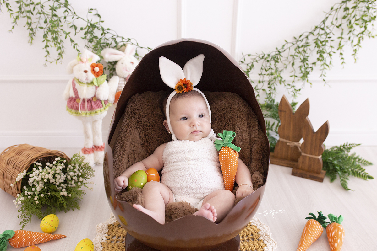 a bebe esta dentro de um ovo no acompanhamento mensal