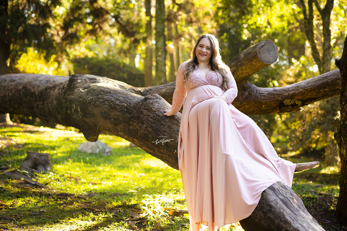 a gestante esta na arvore para a sessão de fotos