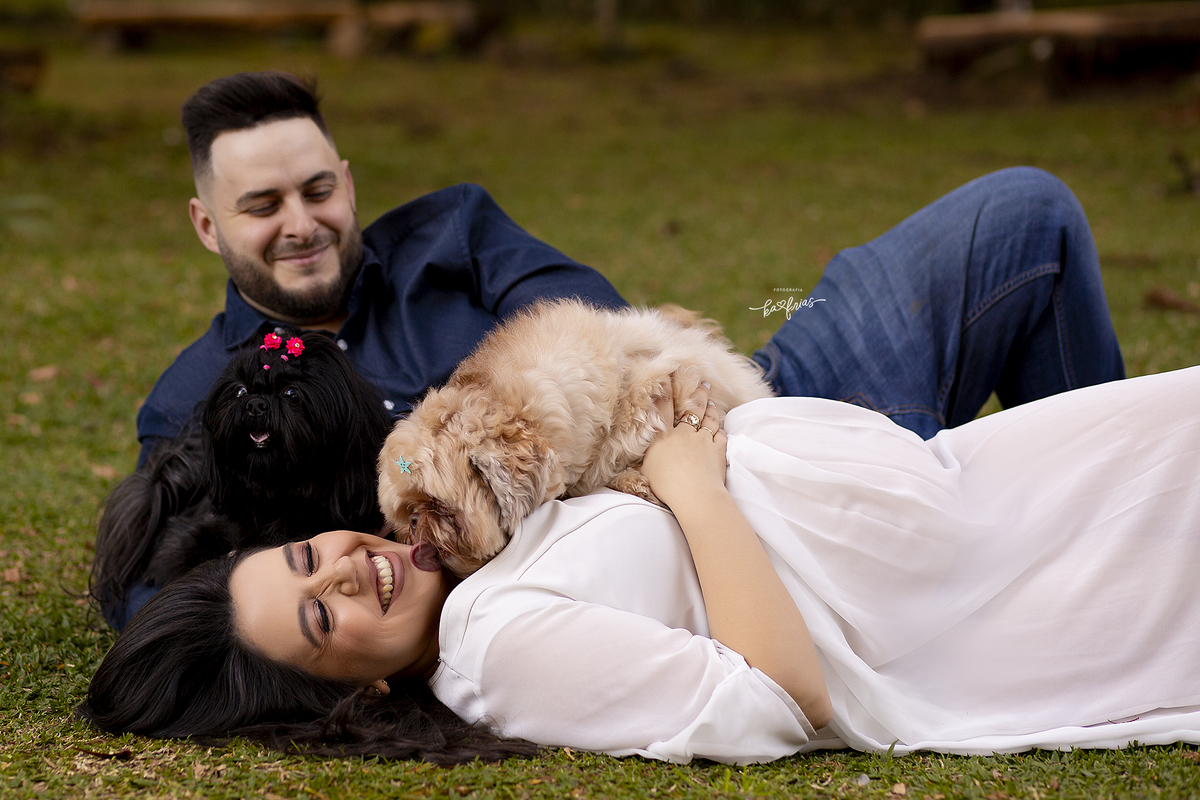 o cachorrinho brinca nas fotos de gestante