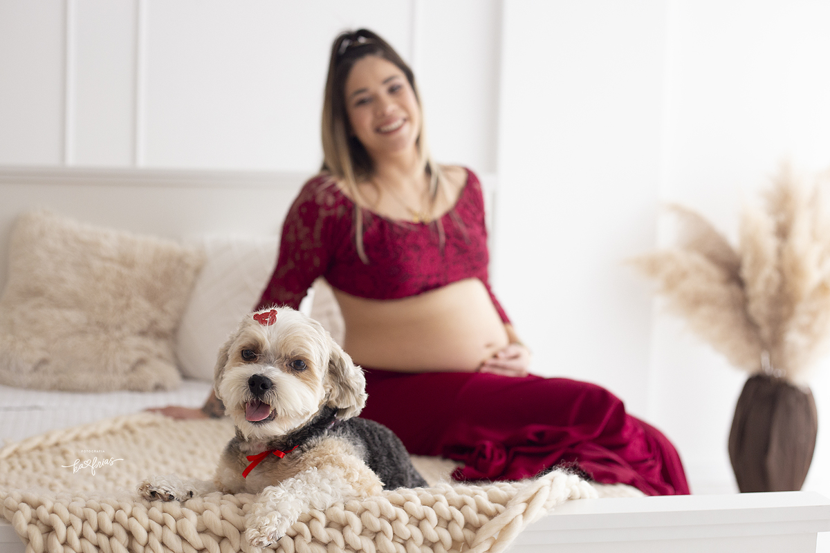 o cachorrinho participou do ensaio de gestante no estudio da ka frias fotografia