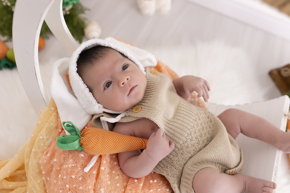 o bebe de um mês iniciou as fotos de acompanhamento mensal em caxias do sul-rs