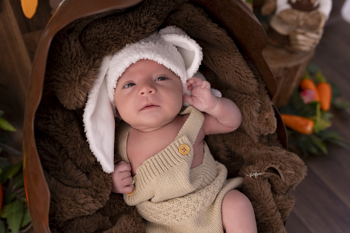 fotos de crescimento do bebe