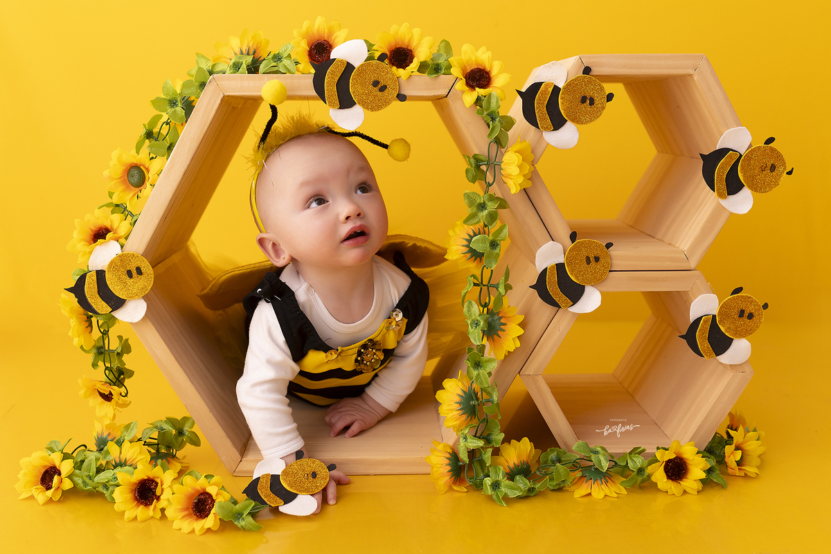 ensaio de abelhinha em caxias do sul-rs