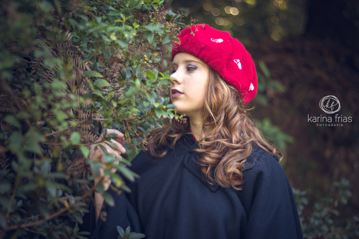 15 anos da luiza no hotel bela vista em caxias do sul-rs