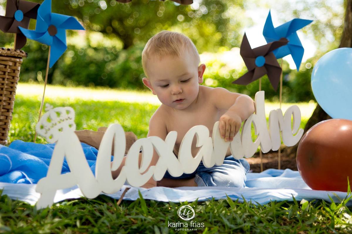 cenario criado pela fotografa de familia Karina Frias, para as fotos de um aninho do bebe