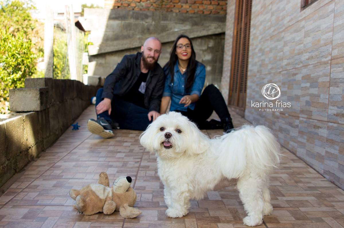 em ensaio documental até mesmo o cachorro fica parado para olhar a foto