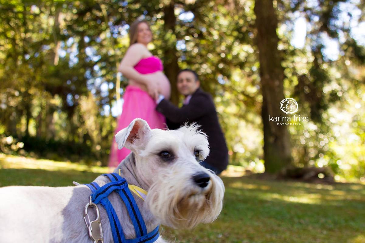 o pet participou da sessão de fotos de gestante da modelo