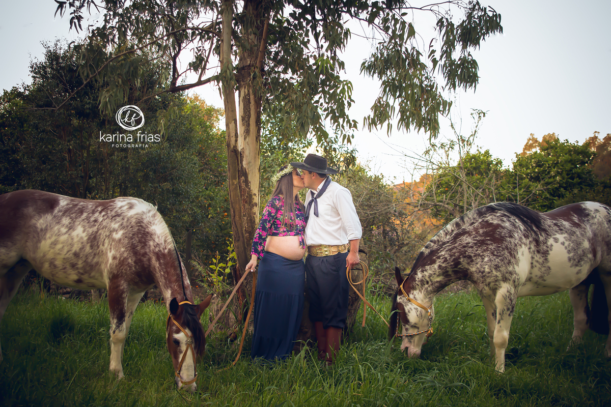 cavalos pastam no ensaio externo de gestante 