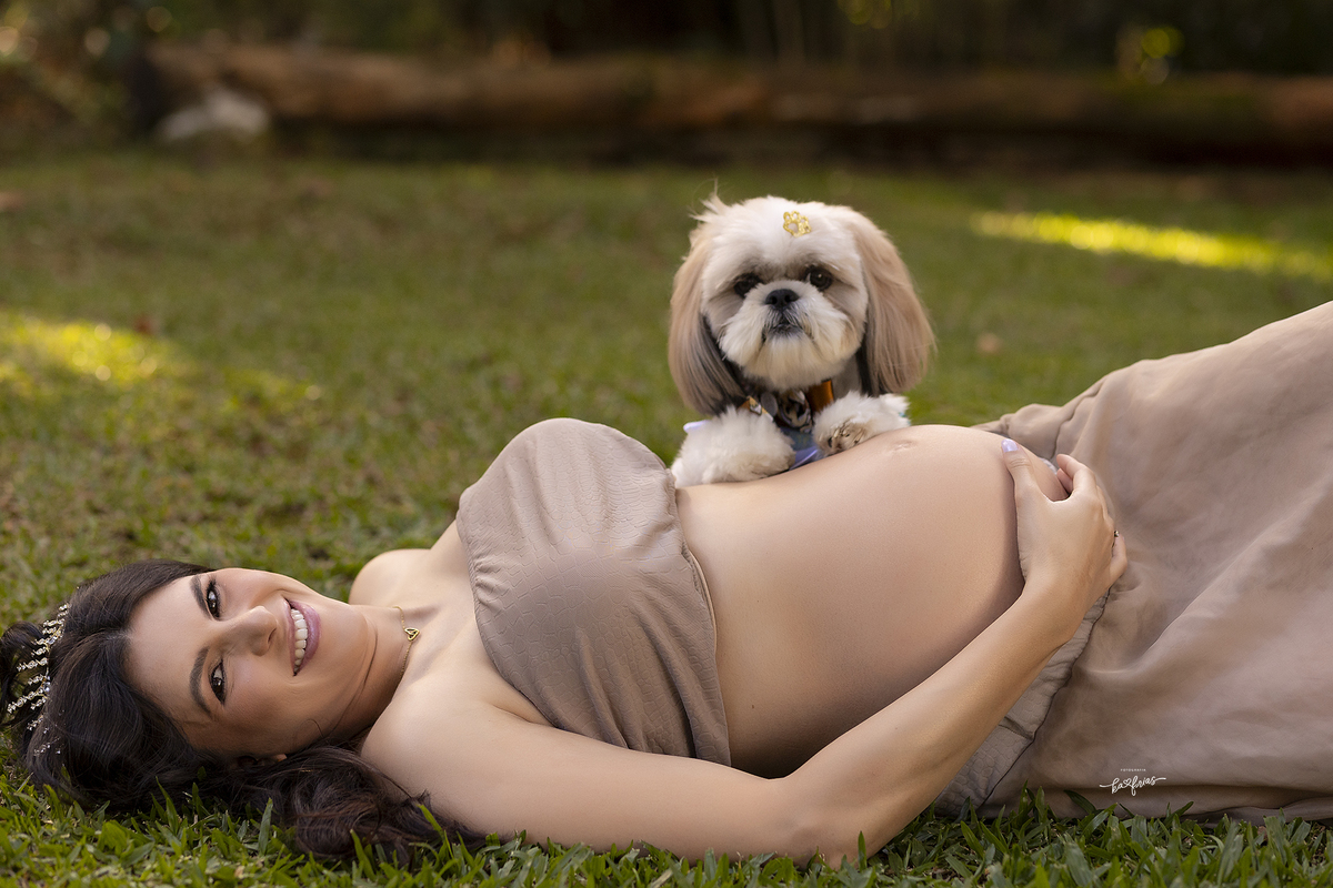 o cachorrinho também fez fotos junto da barriga da gestante