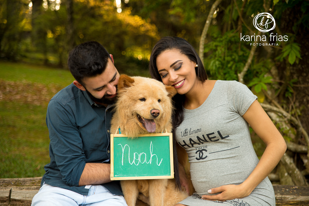 NO ENSAIO EXTERNO DE GESTANTE, O CACHORRO É ACARICIADO