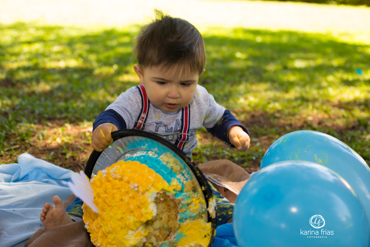 A CRIANÇA VIRA O BOLO EM ENSAIO SMASH THE CAKE EM CAXIAS DO SUL-RS