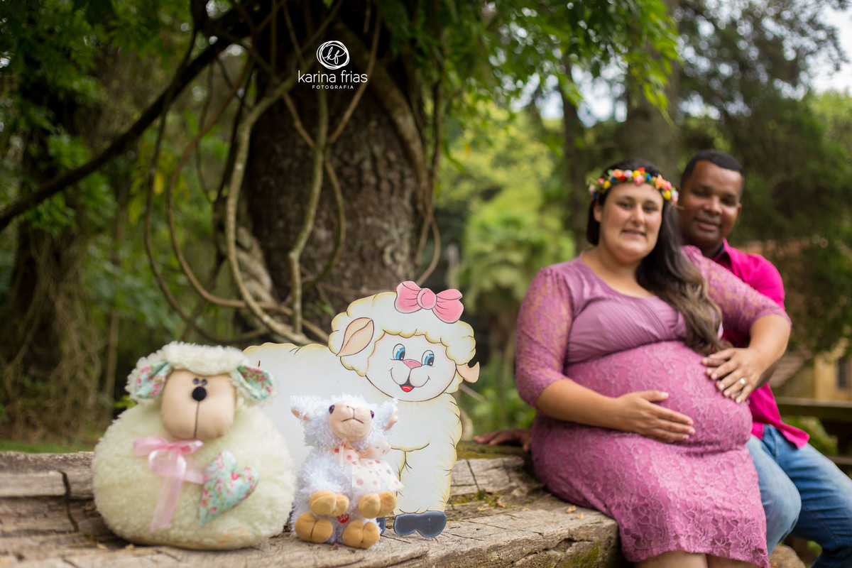 NO BOOK EXTERNO DE GESTANTE LEVAMOS URSINHOS DO BEBE