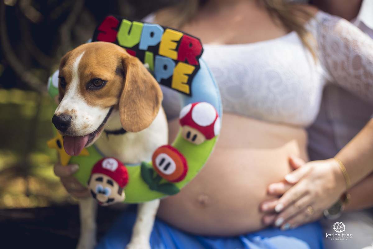 a cachorrinha segurou o enfeite de porta nas fotos de gestante