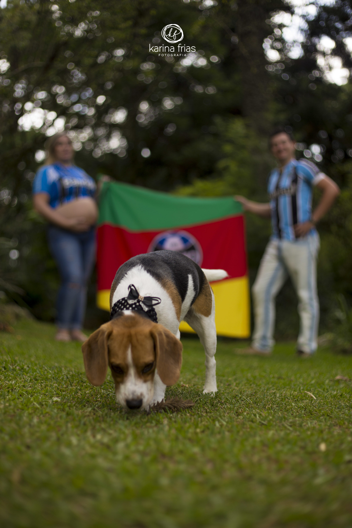 a cachorrinha veio cheirar a planta enquanto os pais ficaram ao fundo no ensaio de gestante externo