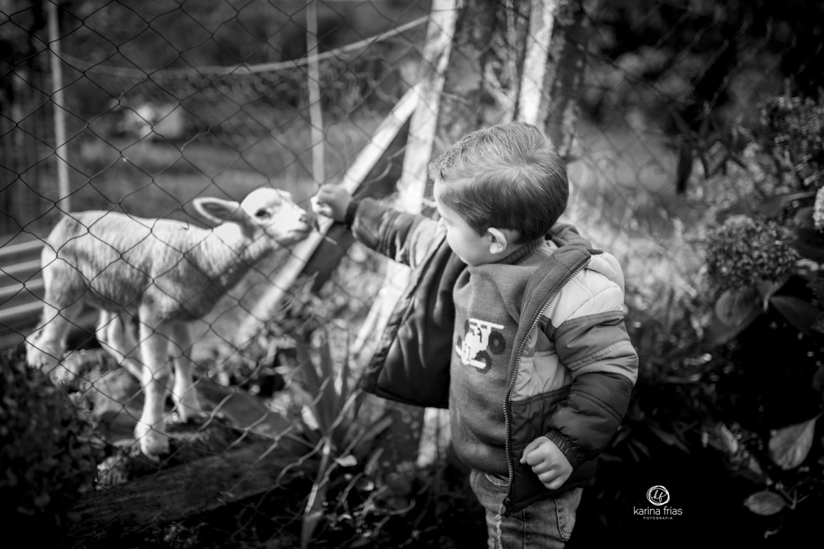 a criança deu comida aos bichos na fazenda durante ensaio de familia
