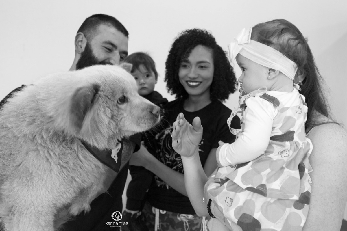 o cachorro vai cheirar a bebe