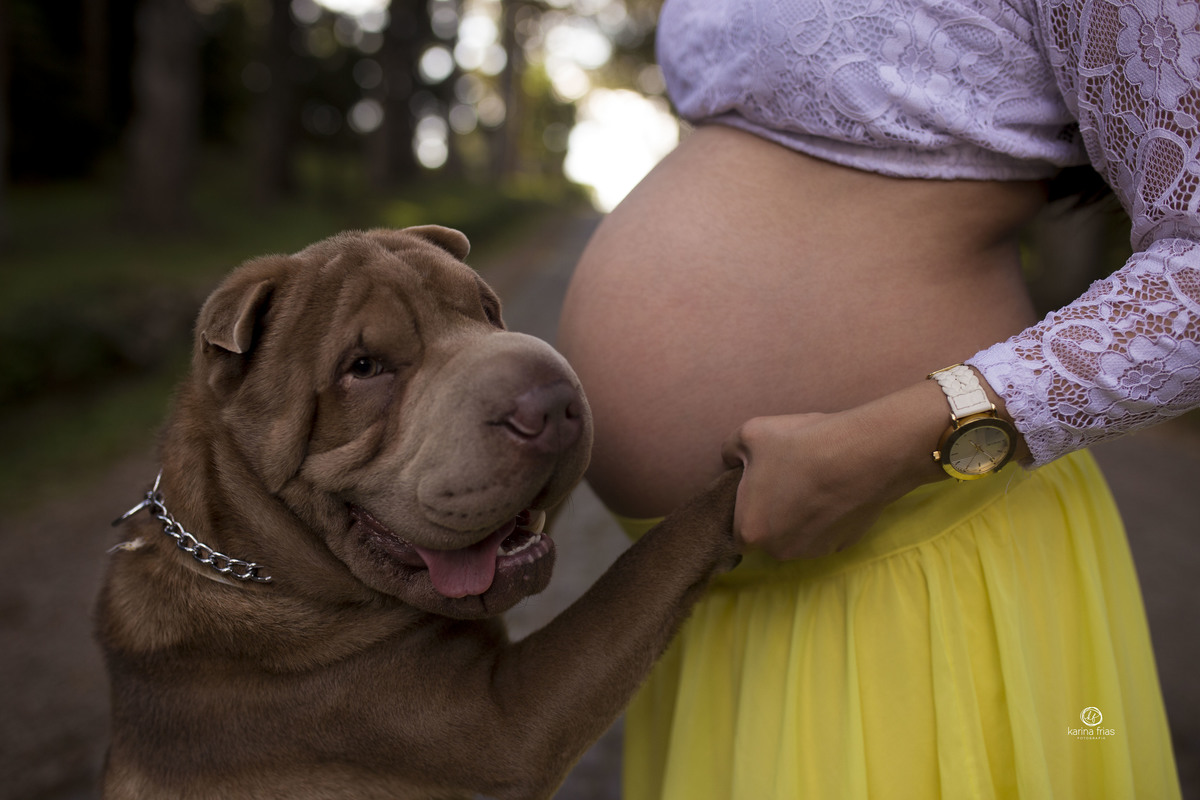 o cachorro participou da sessão de gestante