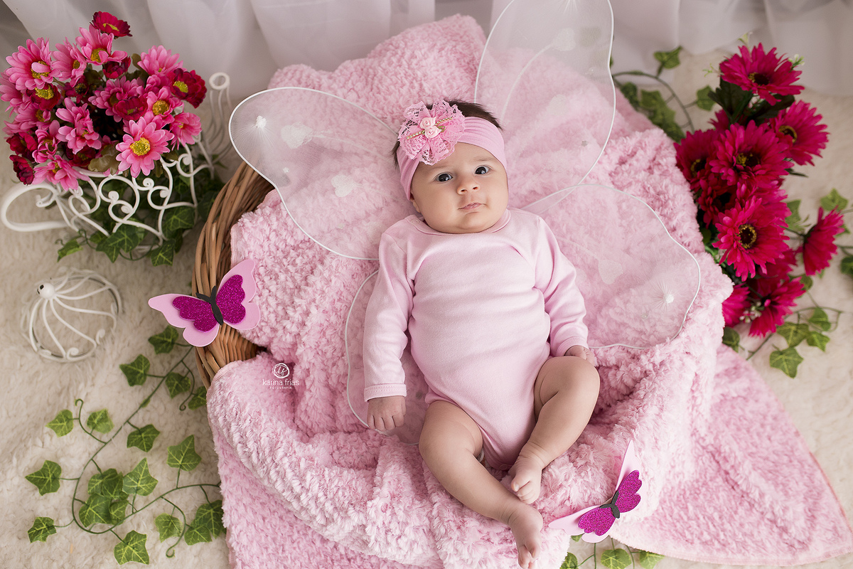 cenario de borboleta para as fotos mensais