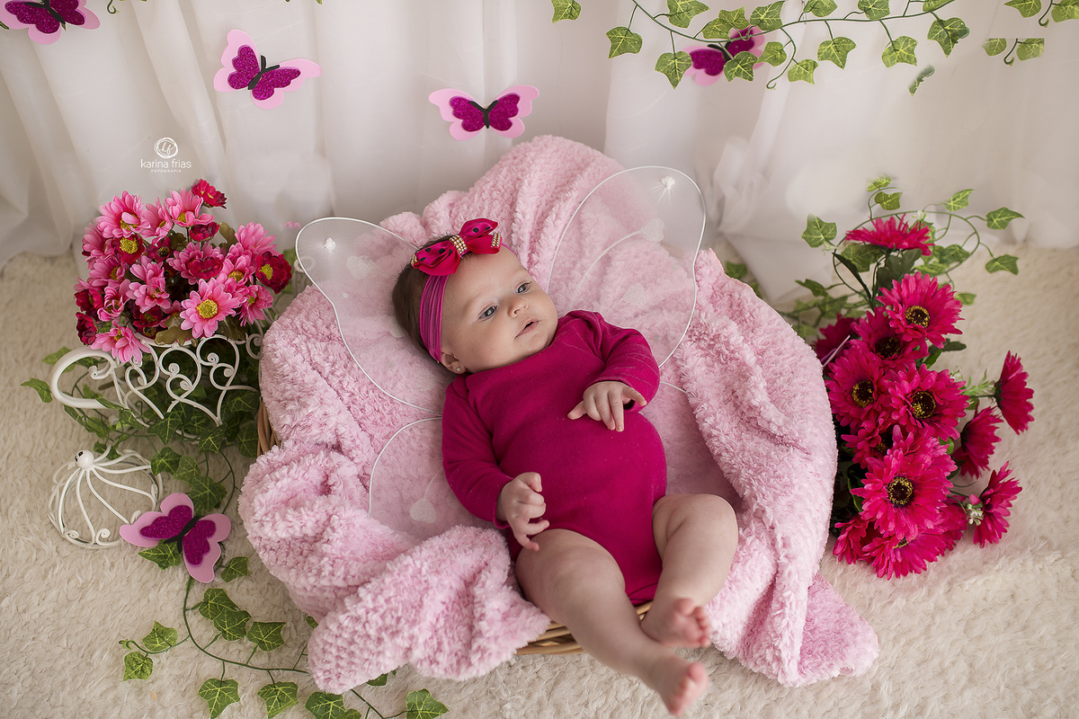 cenario de borboleta para acompanhamento em estudio