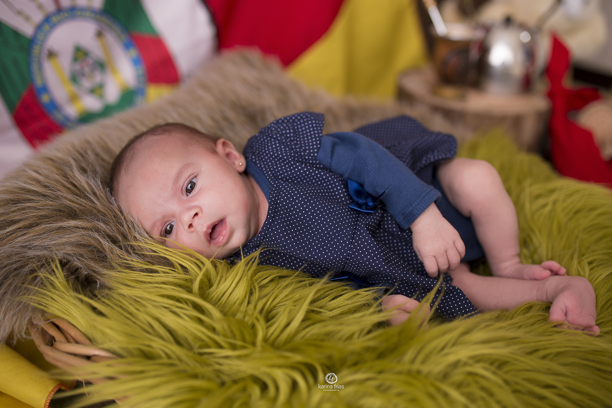 no ensaio infantil, deitamos o bebe no cesto de pelos