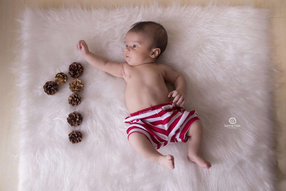 no acompanhamento mensal usamos pinhas para representar o numeros