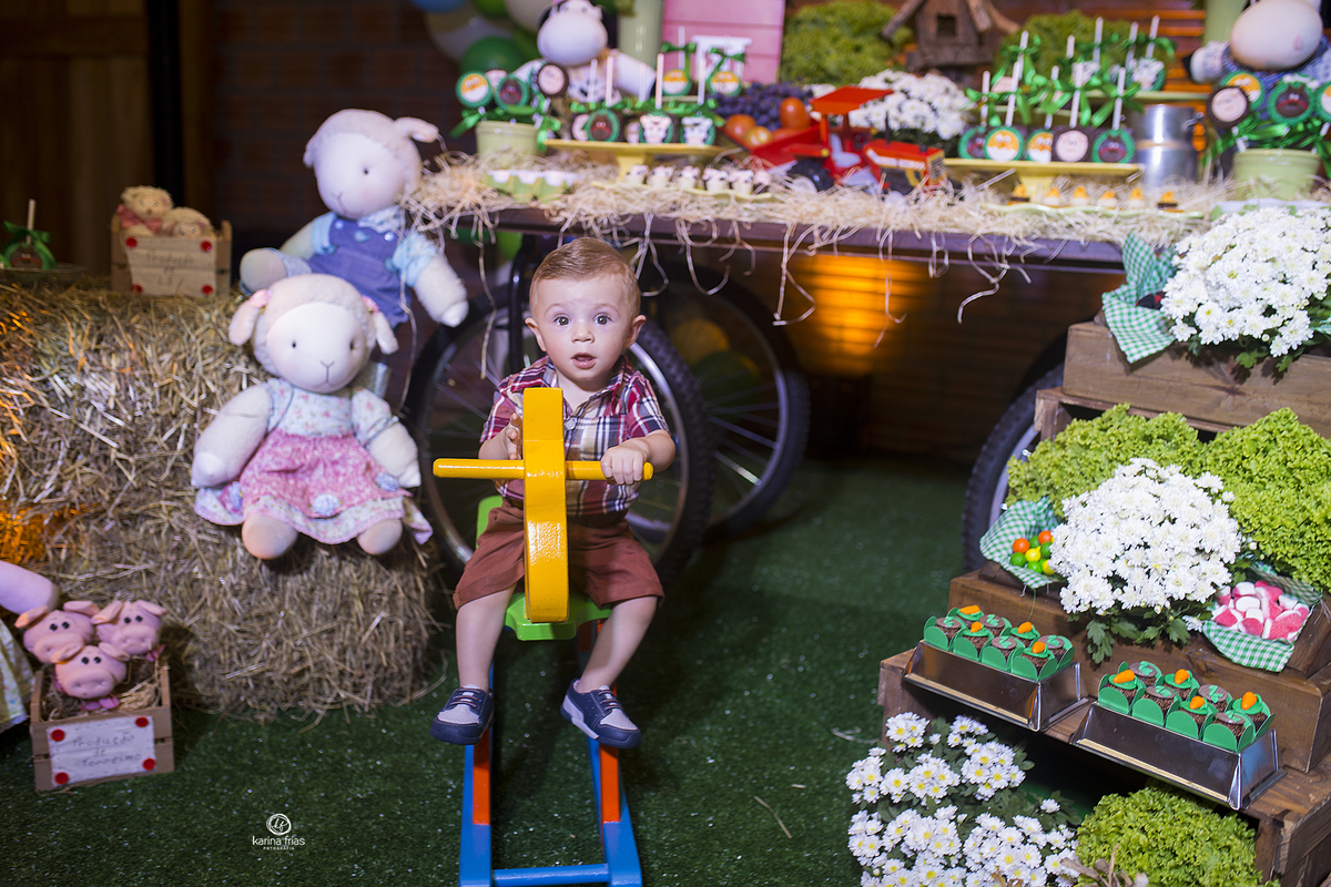 o menino posa para a fotografa de crianças em caxias do sul-rs
