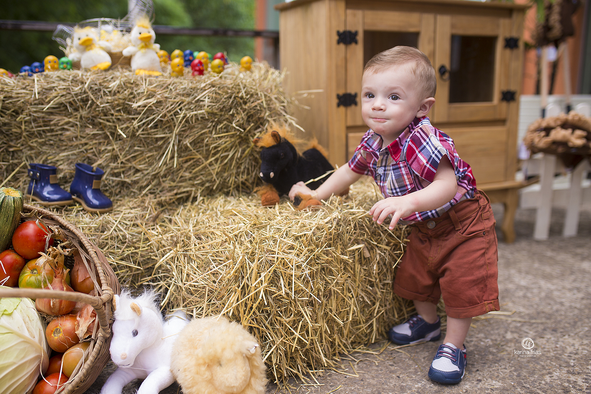 o menino brinca no cenario de fazendinha