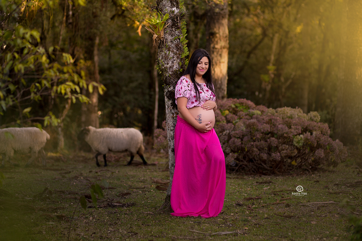 as ovelhas passam ao fundo durante ensaio d egestante