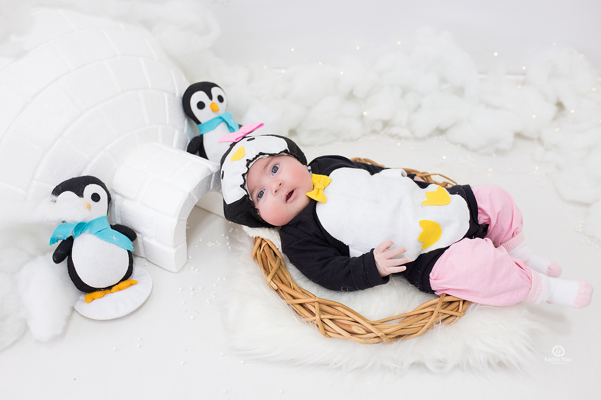 no acompanhamento mensal usamos o cenario de inverno