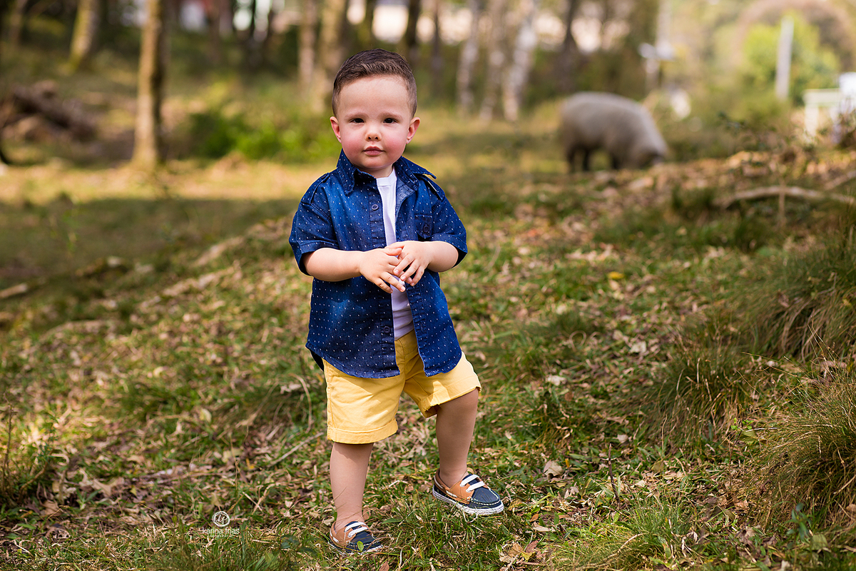 no ensaio infantil o bebe posa para a fotografa