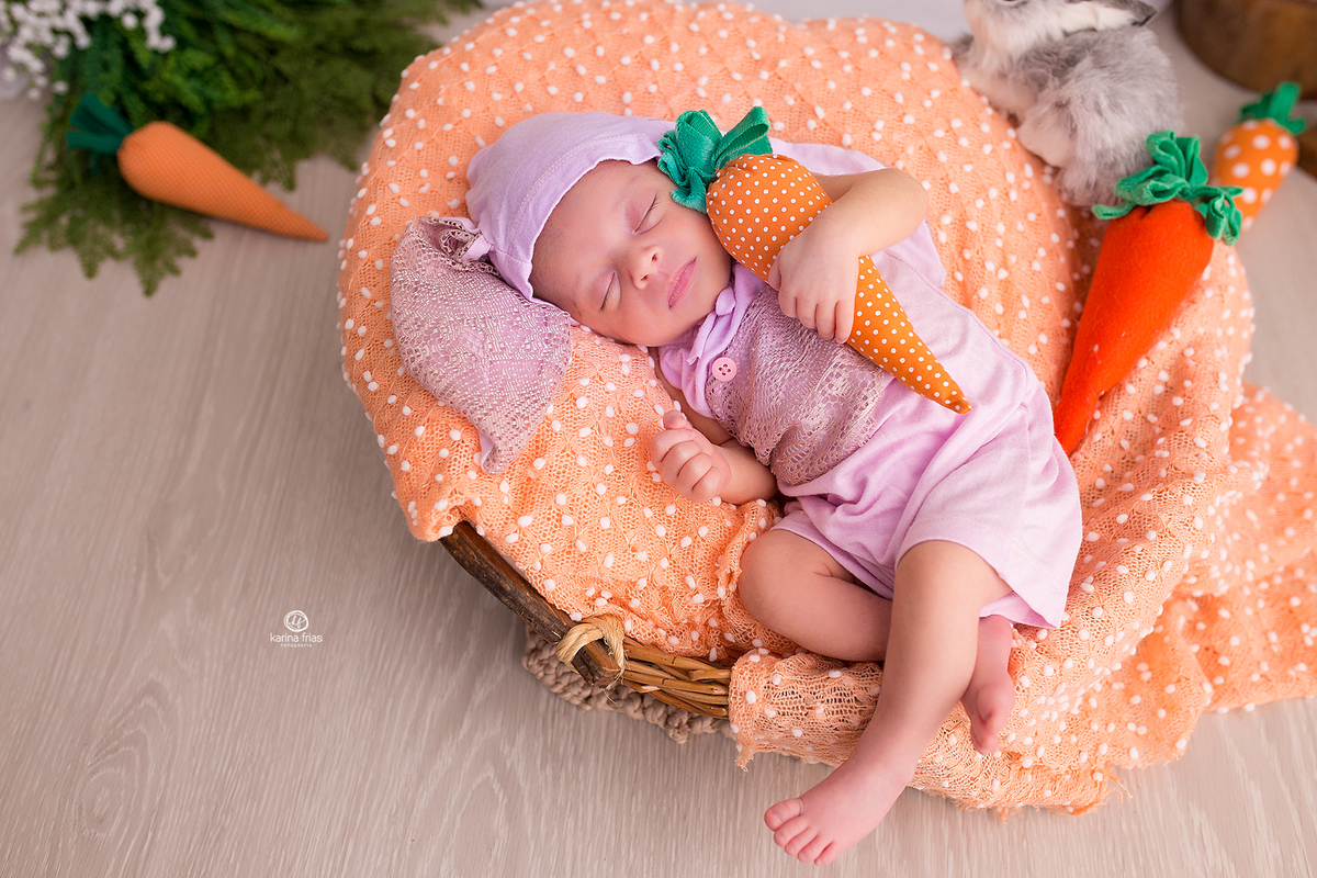 a fotografa de bebes de caxias do sul, karina frias registra a bebe dormindo