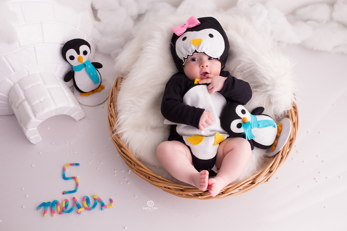 no acompanhamento mensal usamos o numero para representar os meses do bebe