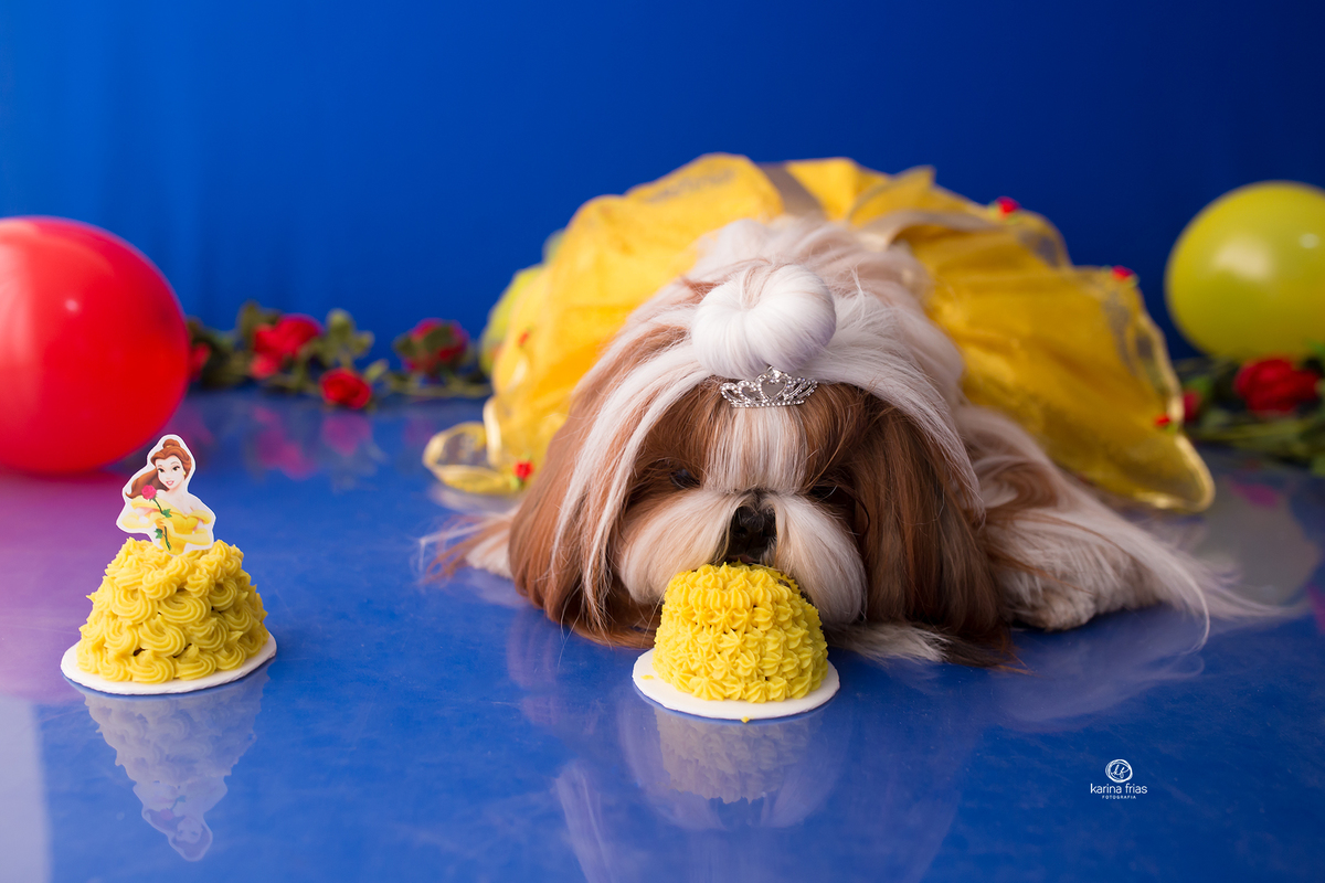 a pet come o bolo do smash de pet