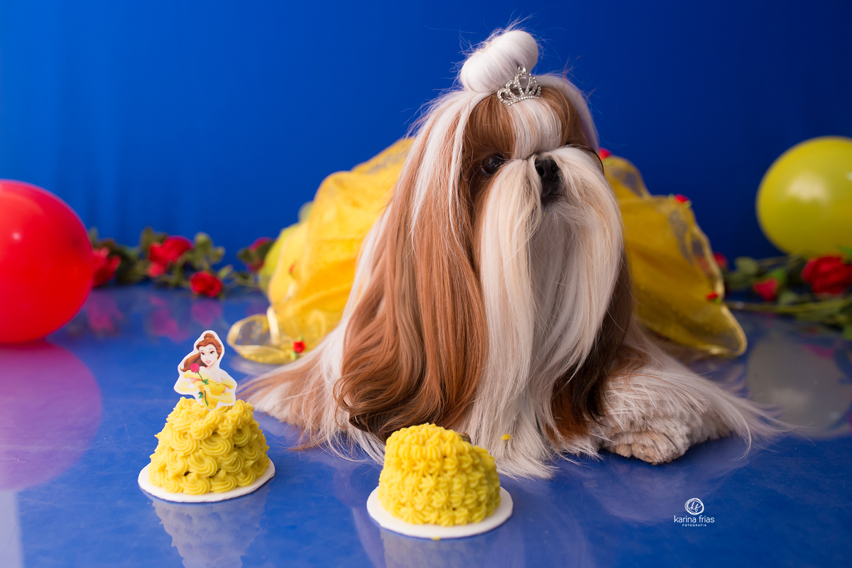 bolo e pet no ensaio com a fotografa ka frias de caxias do sul-rs
