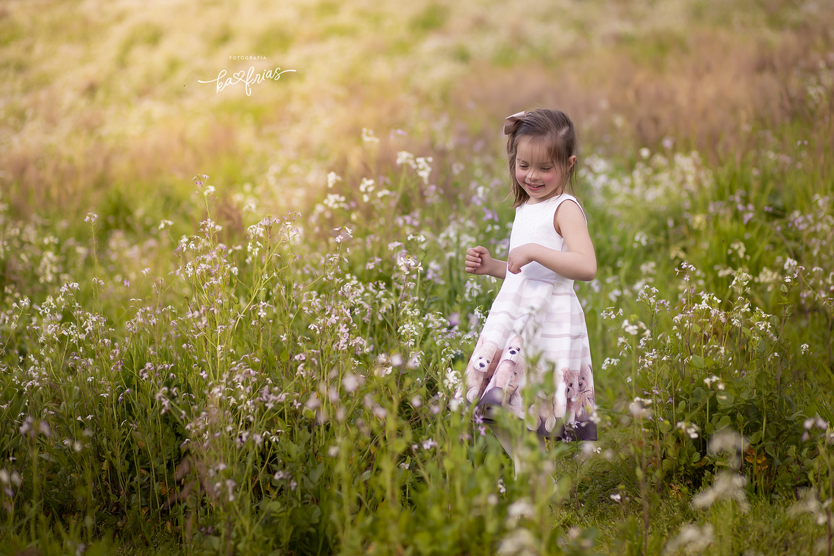no ensaio externo usamos um campo de flores