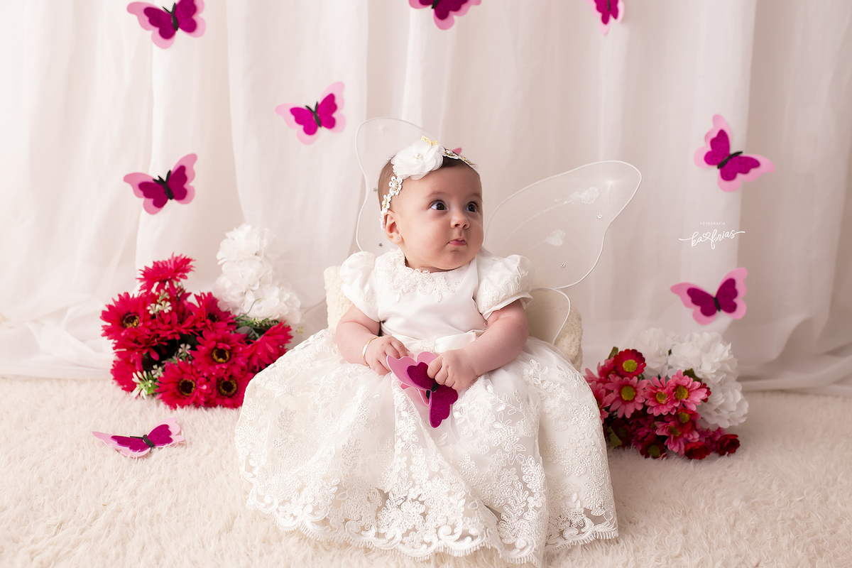 no acompanhamento mensal usamos o cenario de borboleta