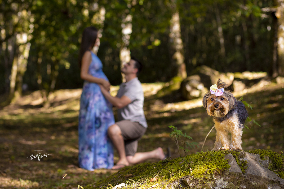 no ensaio de gestante em caxias do sul, o cachorrinho participa