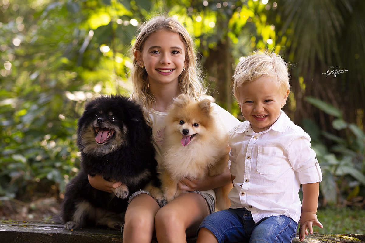 as crianças seguram os cachorros para o ensaio