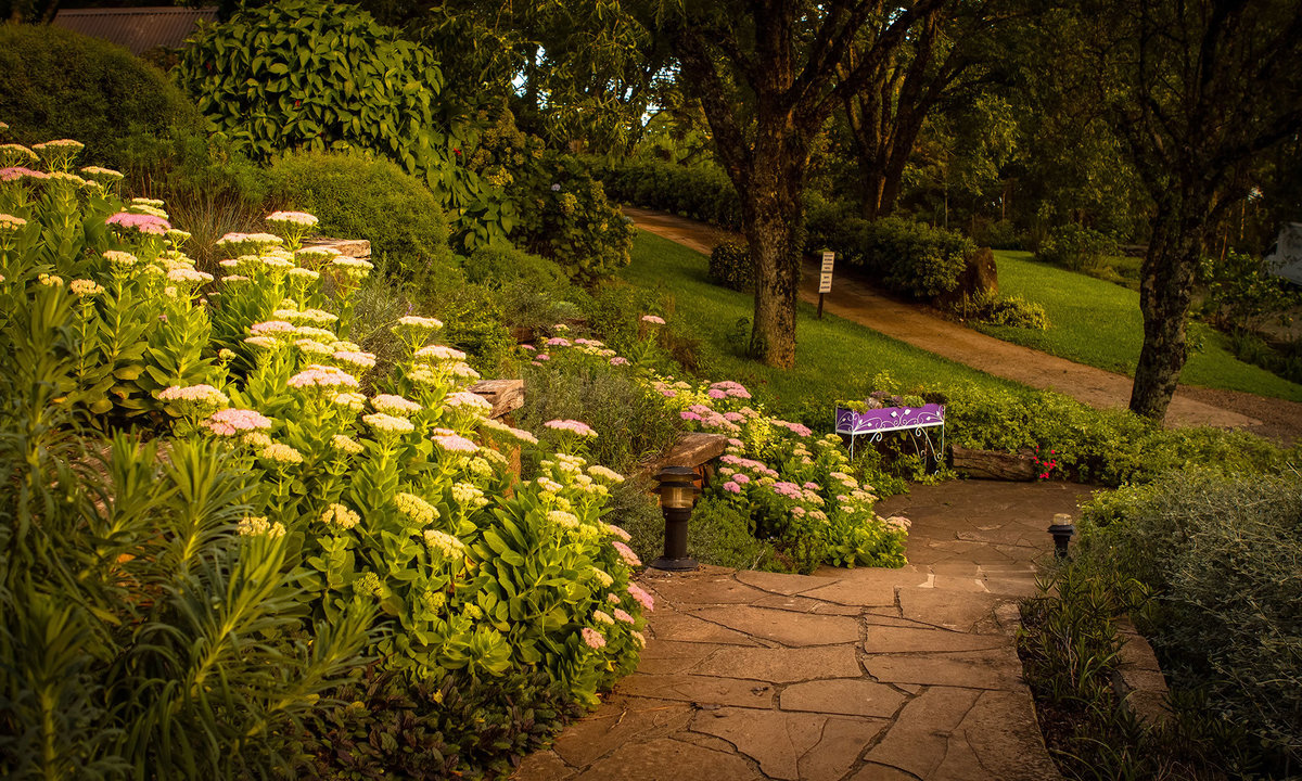 Le Jardim - parque da Lavanda