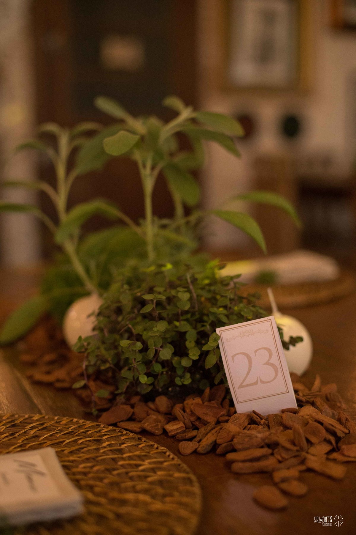 casamento ao ar livre villa antonietta sem padra cadeiras sortidas decoraçao bruna franzem fotografo de casamento porto alegre rs