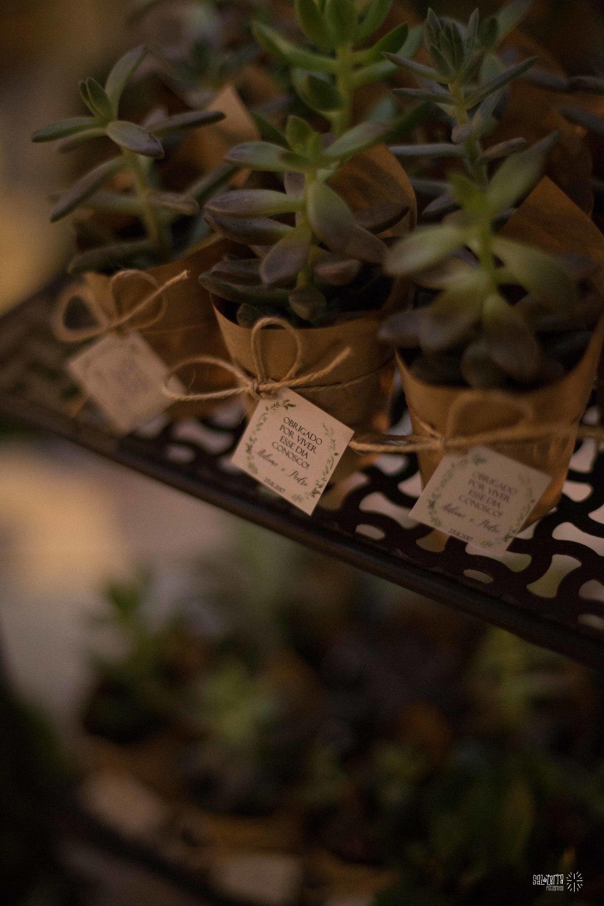 casamento ao ar livre villa antonietta sem padra cadeiras sortidas decoraçao bruna franzem fotografo de casamento porto alegre rs