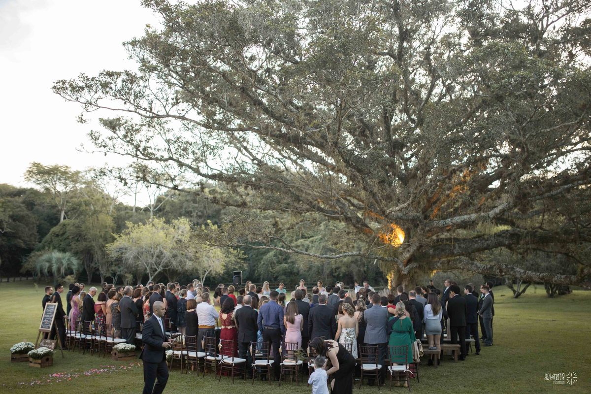 casamento ao ar livre em baixo da figueira alto da capela porto alegre entrada da noiva vestido marco tarrago traje franzn alfaiataria decoracao cor de perola fotografo de casamento no brasil