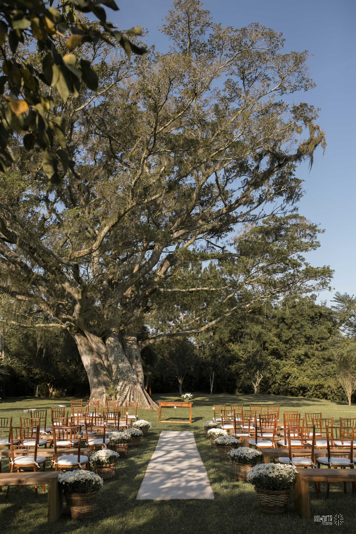casamento ao ar livre alameda figueira cachoeirinha decoração omelette eventos 