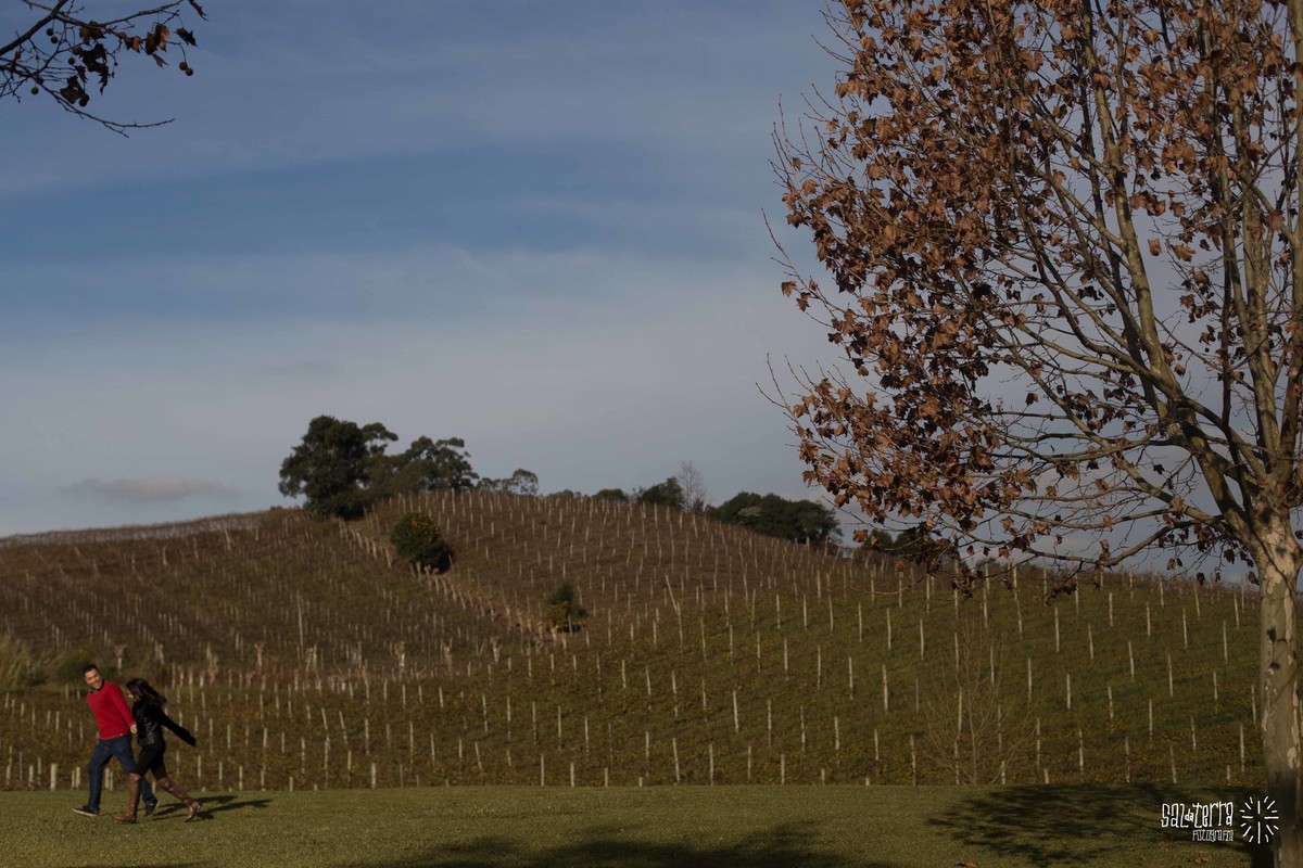 ensaio pre casamento bento gonçalves vale vos vinhedos book de noivos vinicola miolo trash the dress fotografo de casamento porto alegre