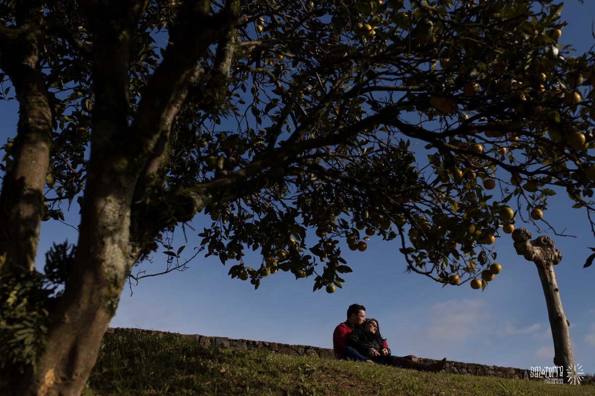 ensaio pre casamento bento gonçalves vale vos vinhedos book de noivos vinicola miolo trash the dress fotografo de casamento porto alegre