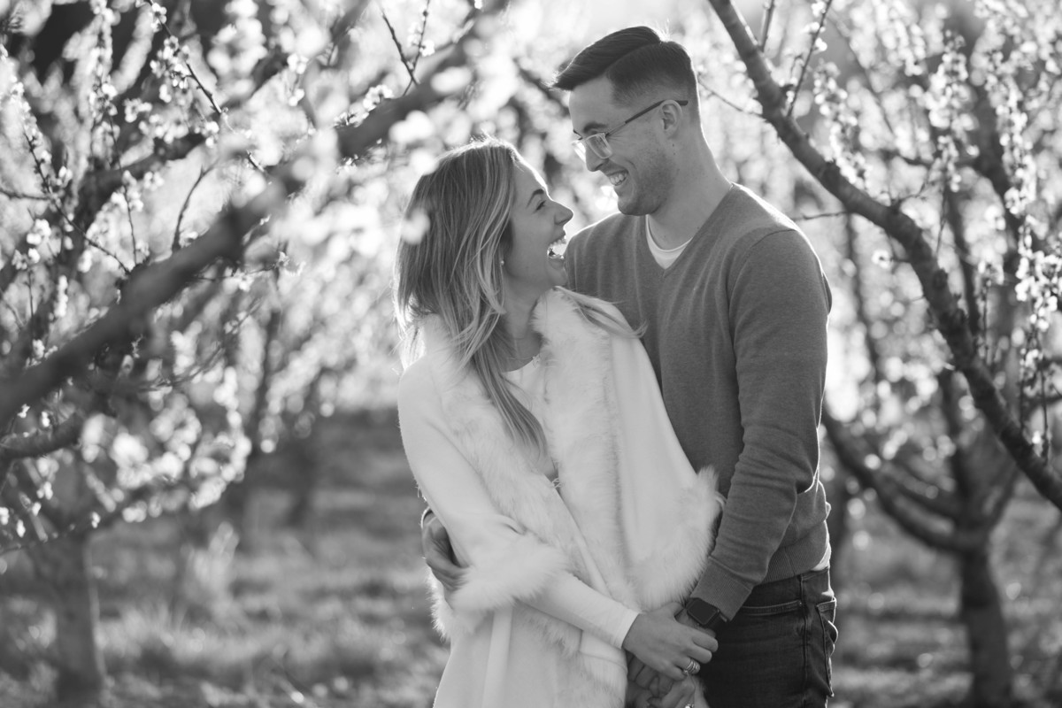 ensaio pre casamento vinicola don giovanni bento goncalves vale dos vinhedos foto de casam pre casamento na serra gaucha sal da terra fotografia 