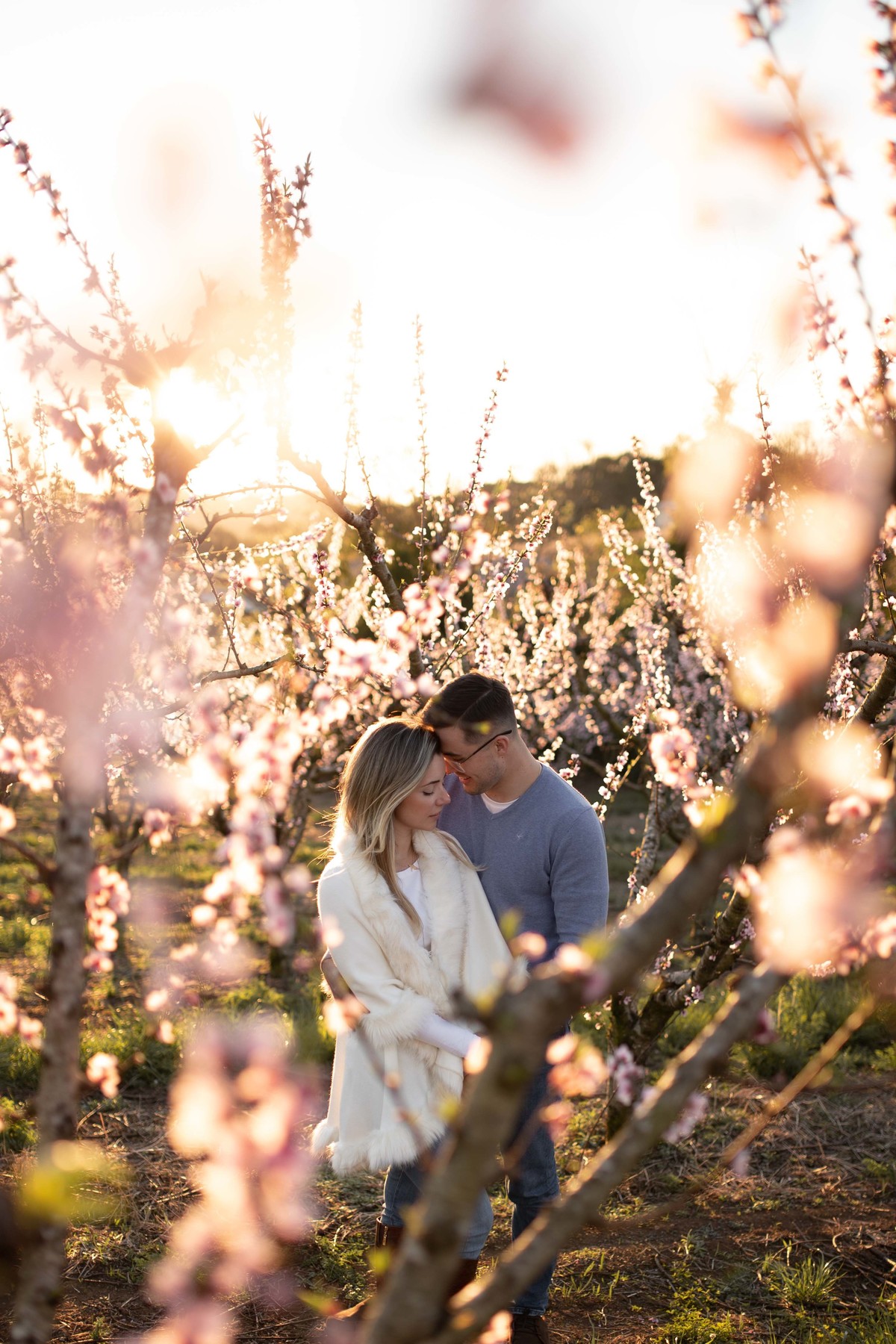 ensaio pre casamento vinicola don giovanni bento goncalves vale dos vinhedos foto de casam pre casamento na serra gaucha sal da terra fotografia 