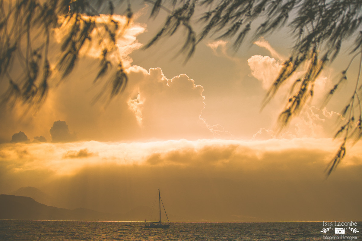 Maria Helena – Pré 15 anos