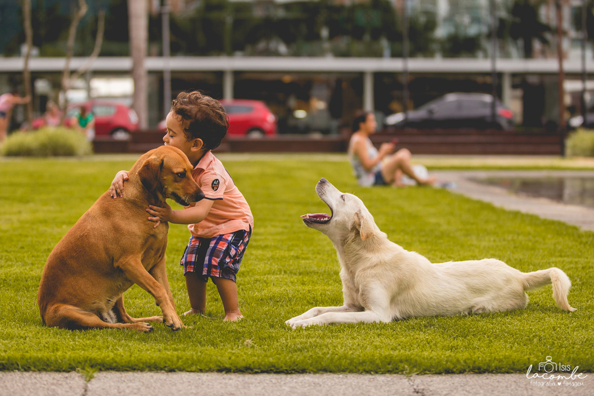 Davi 2 anos | Sessão fotográfica
