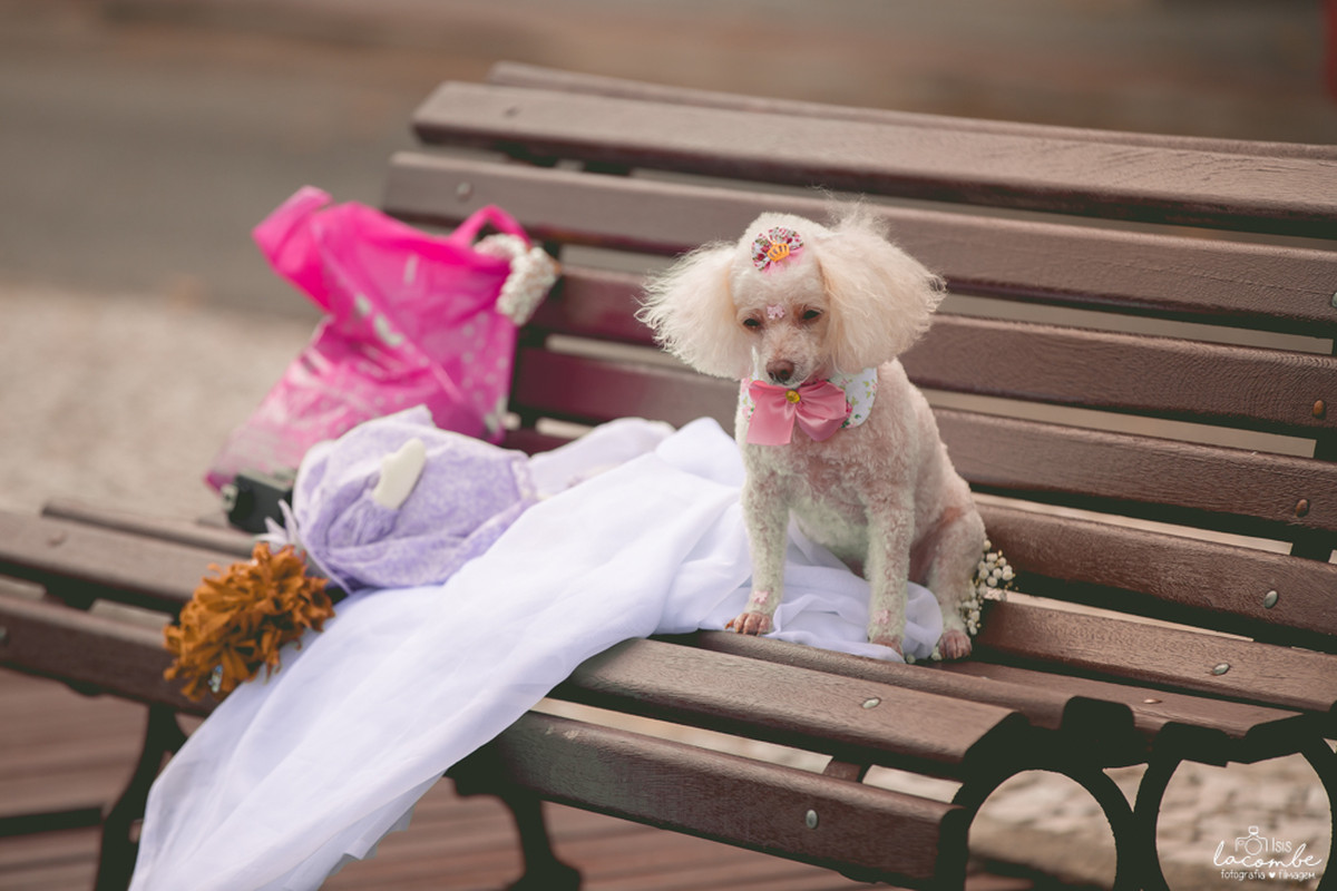 Letícia + Raul = Catarina | Sessão fotográfica gestante
